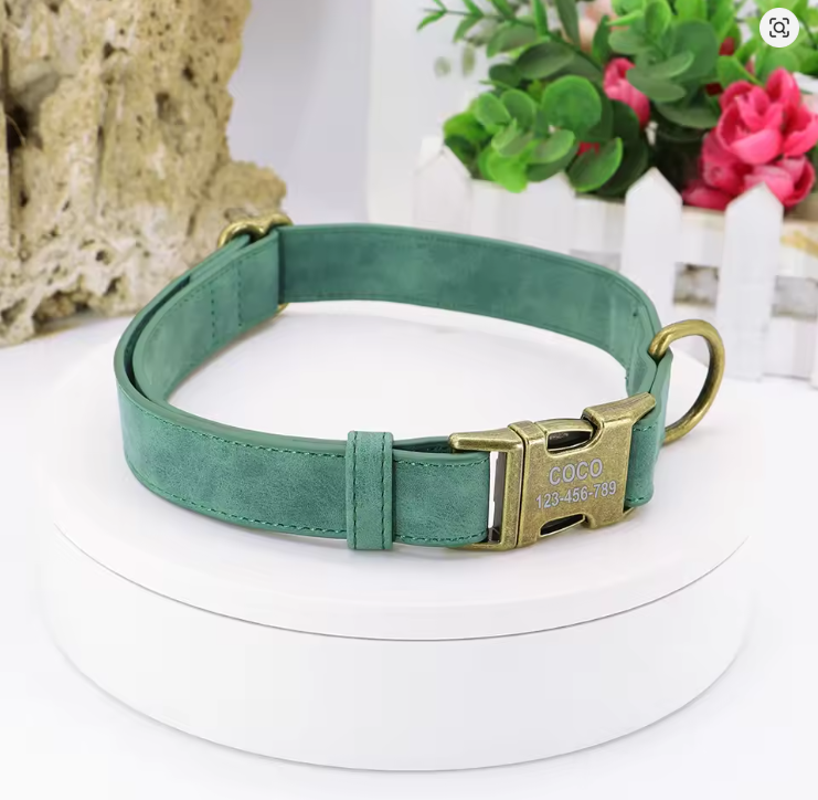 Leather collars with brass tags