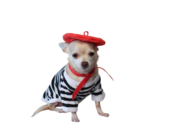 Striped Breton-Style Shirts