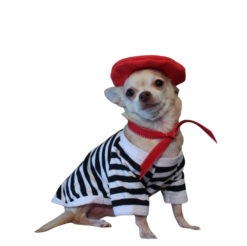 Striped Breton-Style Shirts