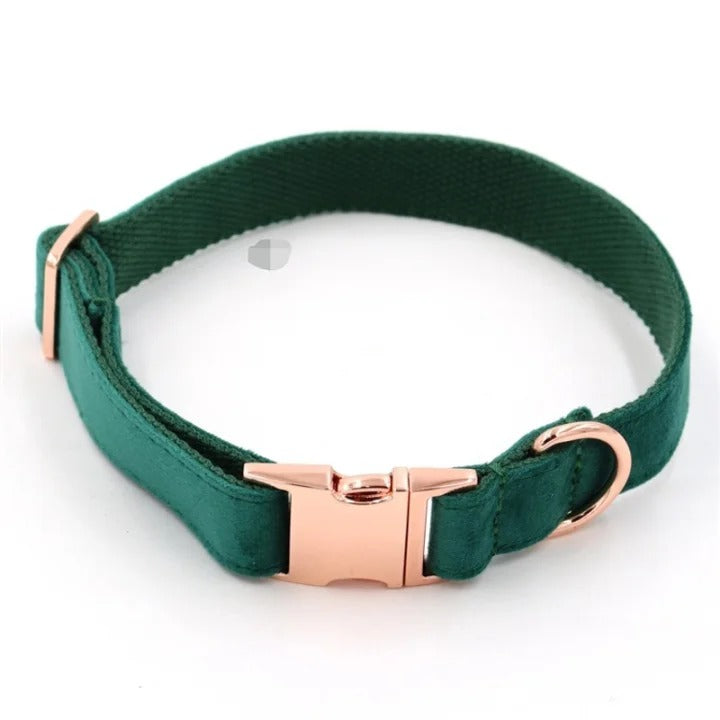 Chic Leather Collars with Minimalist Buckles