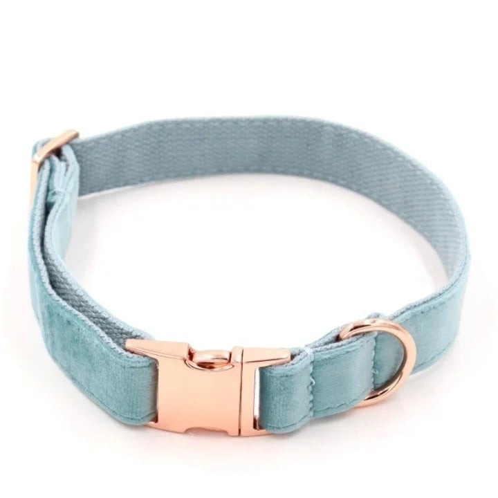 Chic Leather Collars with Minimalist Buckles