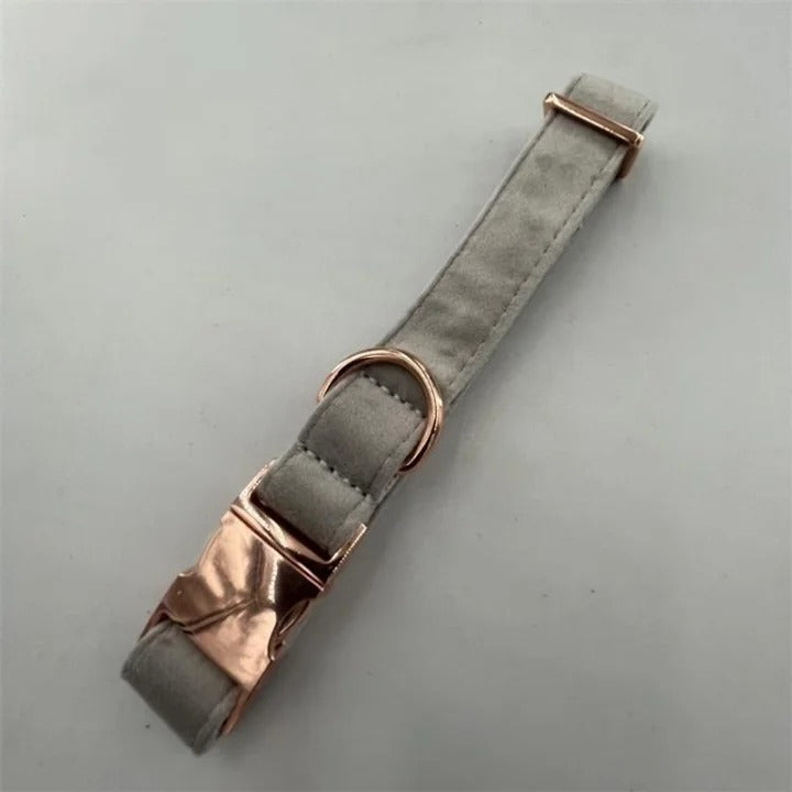 Chic Leather Collars with Minimalist Buckles