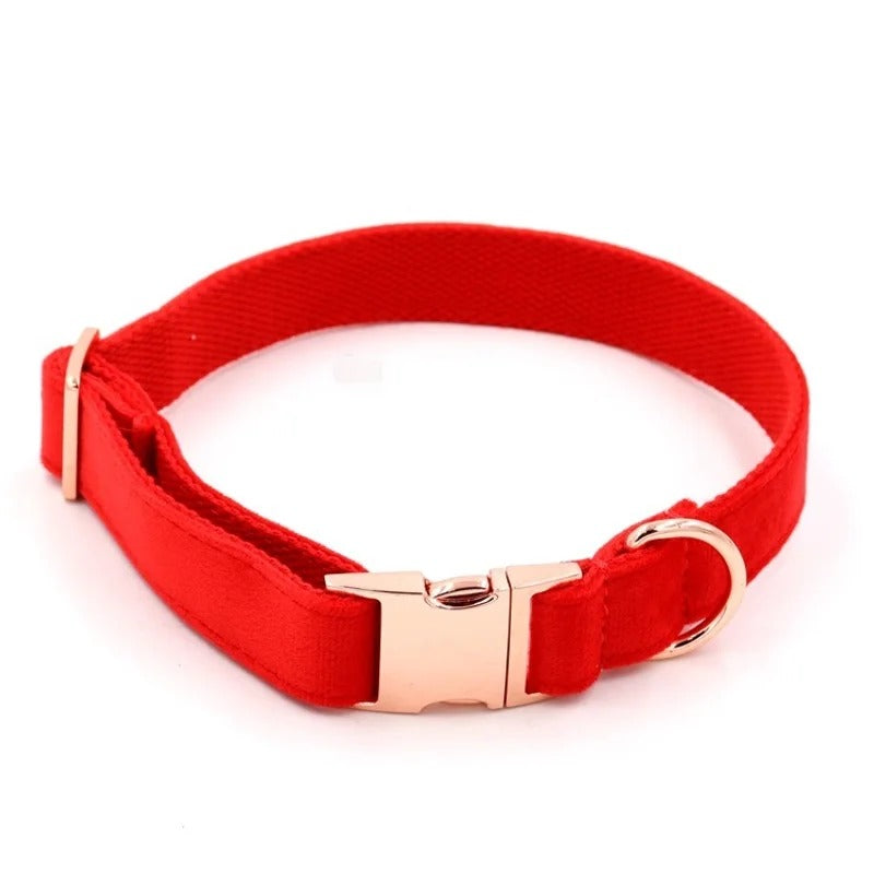 Chic Leather Collars with Minimalist Buckles