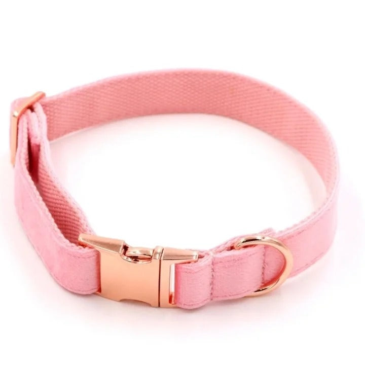 Chic Leather Collars with Minimalist Buckles