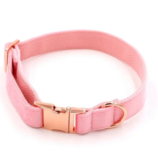 Chic Leather Collars with Minimalist Buckles