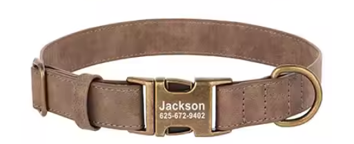 Leather collars with brass tags