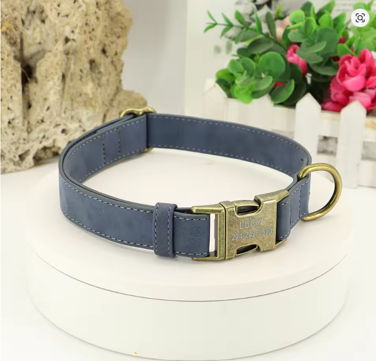 Leather collars with brass tags