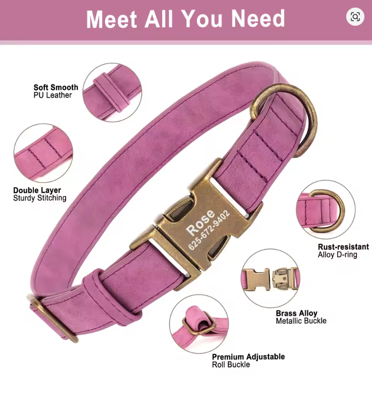 Leather collars with brass tags