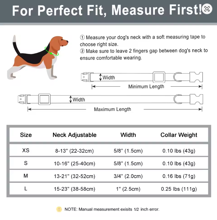 Leather collars with brass tags