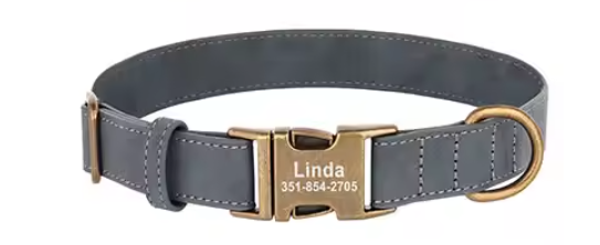 Leather collars with brass tags