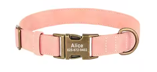 Leather collars with brass tags