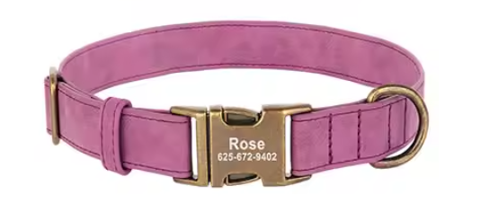 Leather collars with brass tags