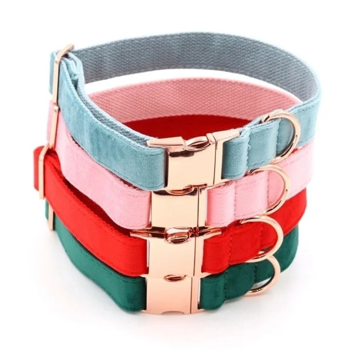 Chic Leather Collars with Minimalist Buckles