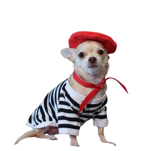 Striped Breton-Style Shirts