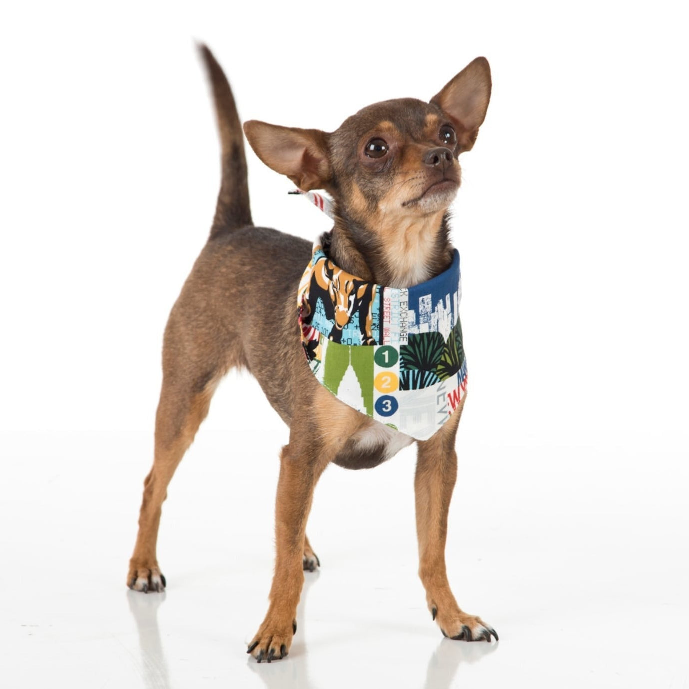 Bandanas with Subway Map Prints