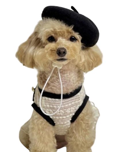 Beret-Inspired Soft Dog Hats