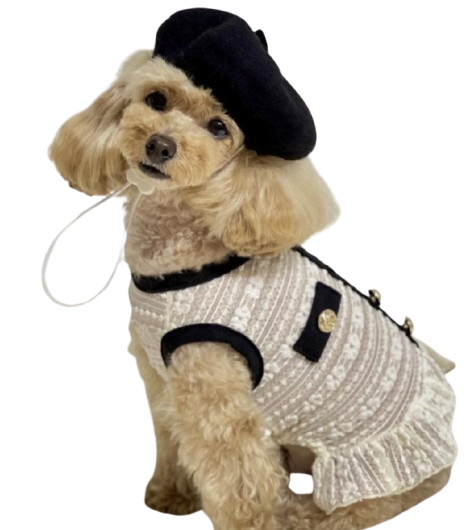 Beret-Inspired Soft Dog Hats