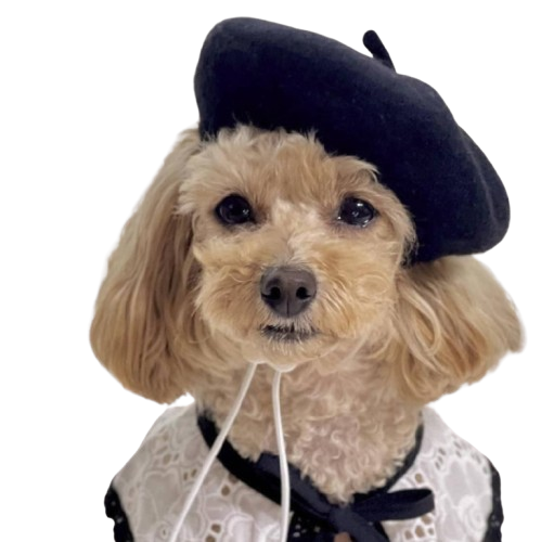 Beret-Inspired Soft Dog Hats