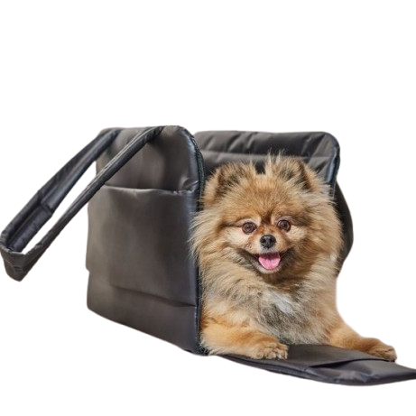 Oversized Tote Bags That Double as Carriers