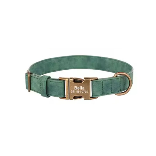 Leather collars with brass tags